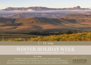 Montusi Special Offer Winter 2026