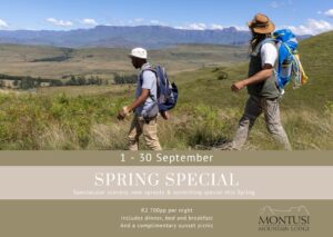Montusi special offers Spring special