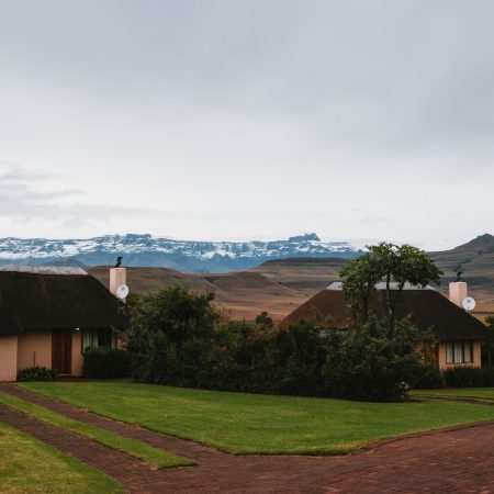 snowy amphi suites
